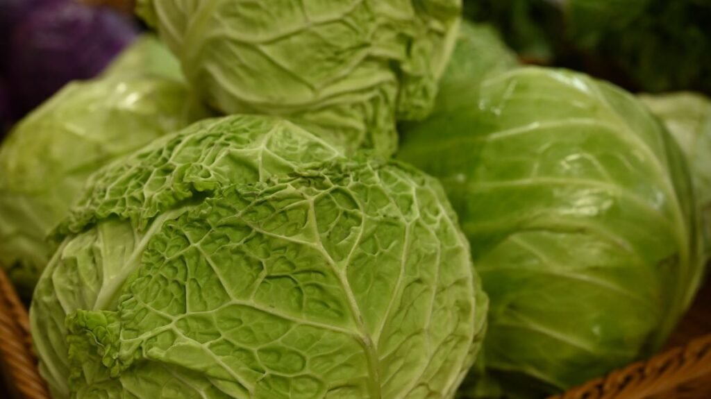 probióticos naturais